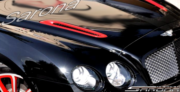 Custom Bentley GT  Coupe Hood (2004 - 2011) - $2290.00 (Part #BT-001-HD)